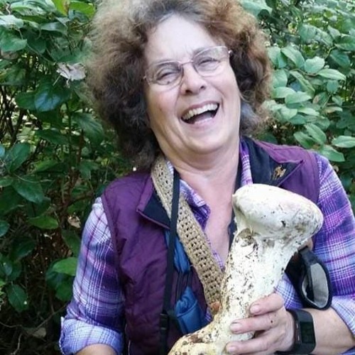 Stream episode Oregon Coast Mushroom Hunting with Anna Moore by KXCR