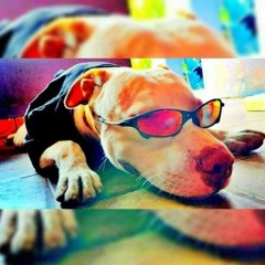 Visão de Cria _4 - MC Kako - Mão Santa(MP3_160K)_1.mp3