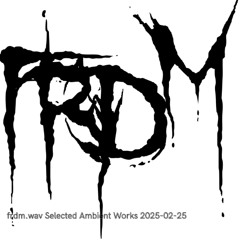 selected ambient works 2025-02-25