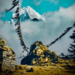 Wish I Went 2 Nepal - Vic