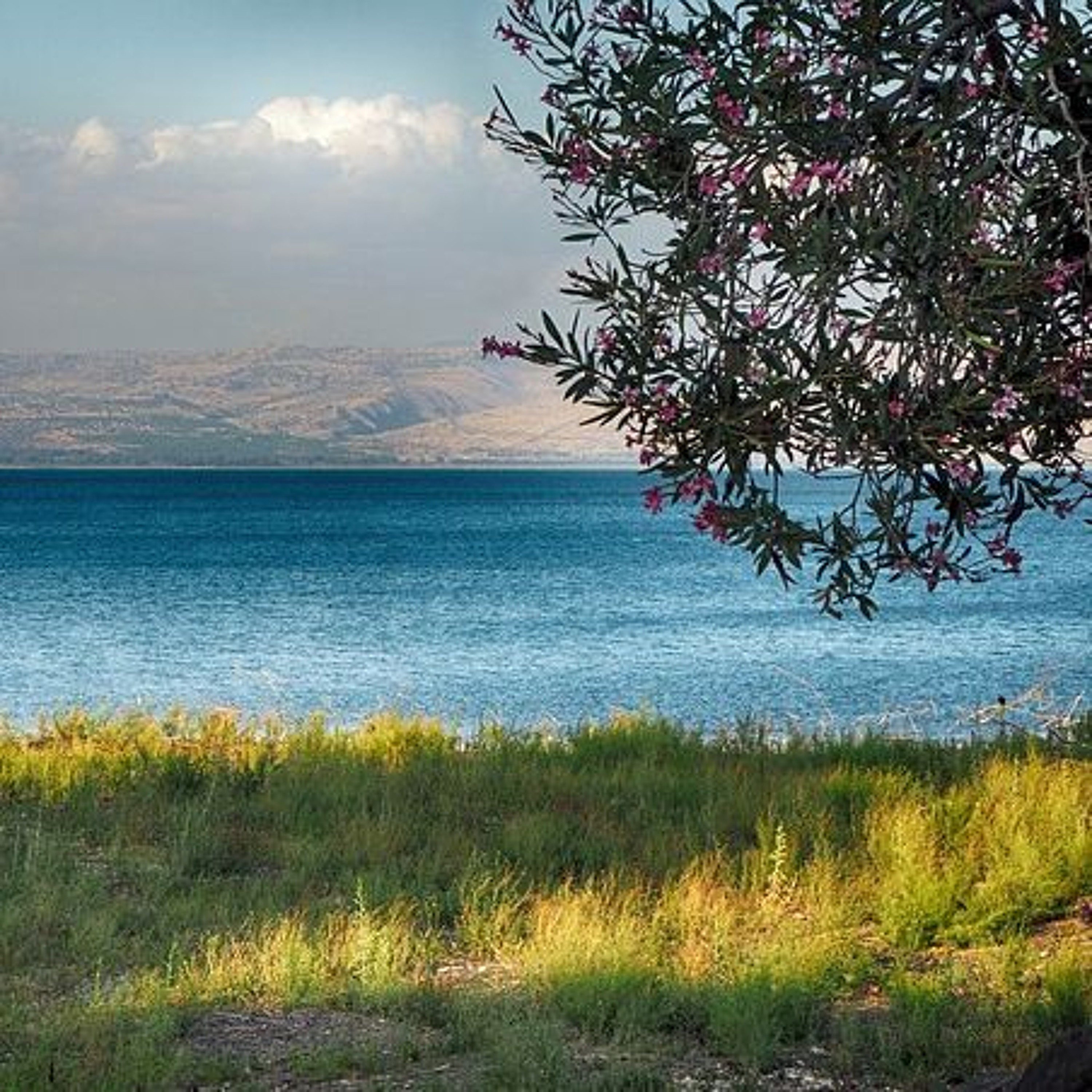 Life In Israel Today - Returning Home