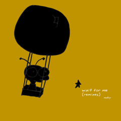 Wait For Me (Paul Kalkbrenner Remix)