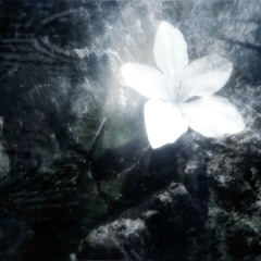 Weather (Prod. Lecie)