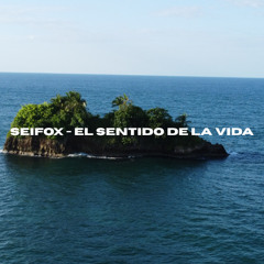 SeiFox - El sentido de la vida (Original Mix)