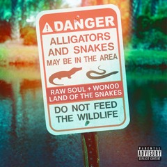 Land of the Snakes (with Raw Soul) [Extended]