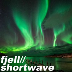 ARC004 - Fjell - Shortwave (OUT NOW)