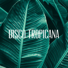 Disco Tropicana 🌴