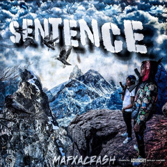 Sentence