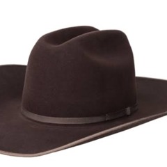 Cow Boy