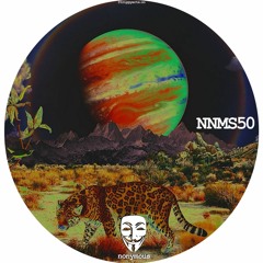 Premiere : Unknown Artist - Exotic Hunter (NNMS50)