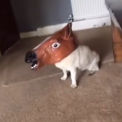 NOWHERE TO HIDE