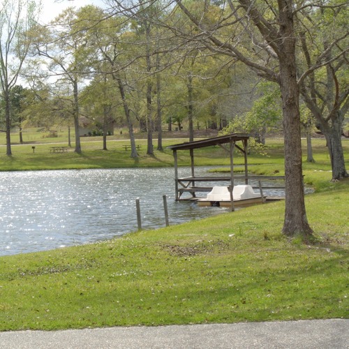 Walk In The Park