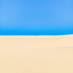 "sun–Days, 幸せで晴れた日々" ft. Rampazzo