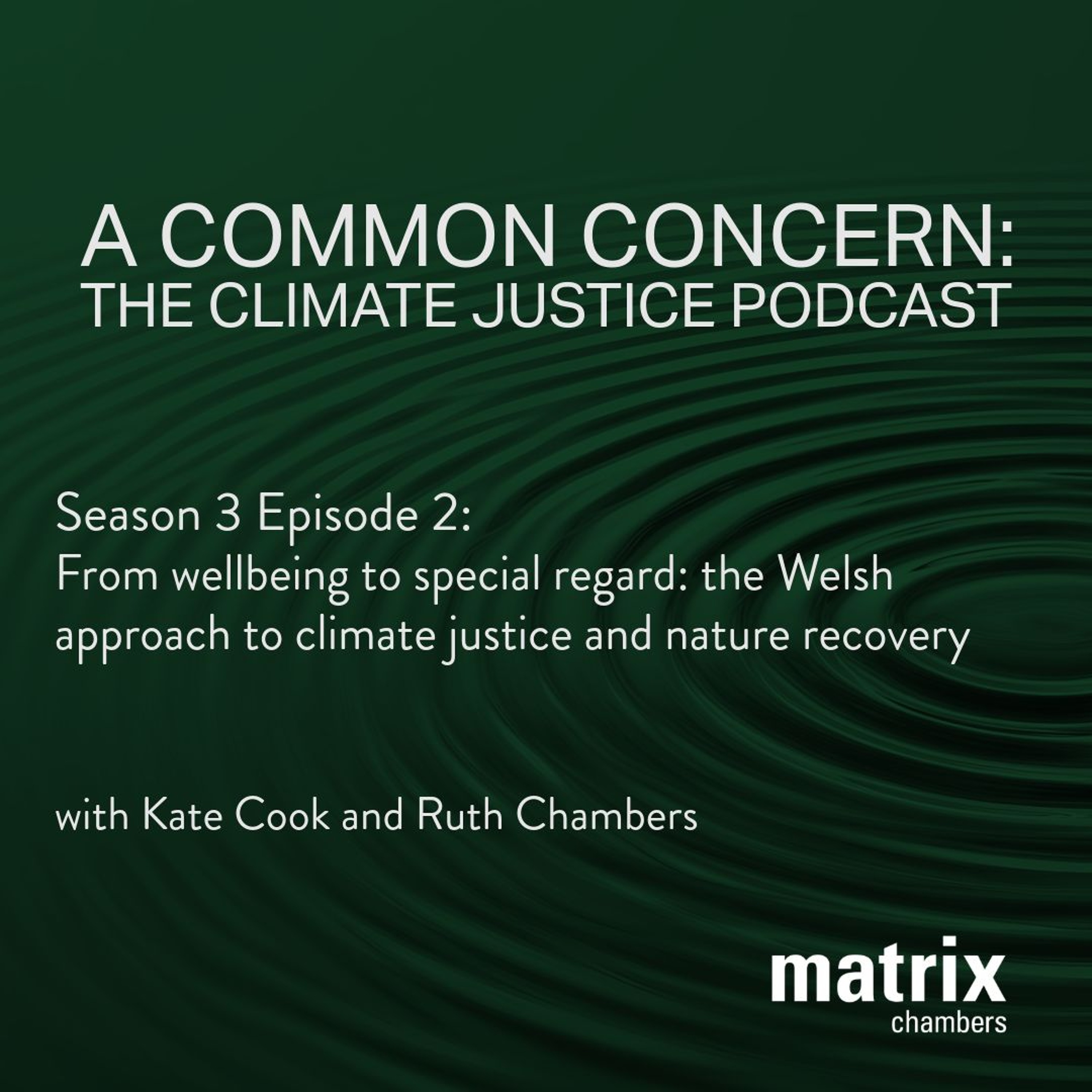 From wellbeing to special regard: the Welsh approach to climate justice and nature recovery episode artwork