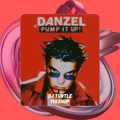 Danzel - Pump It Up (Dj Turtle Mashup)