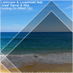 Lidstroem & Loveshield feat. Josef Salvat & Niia - Holding On (Mash Up)