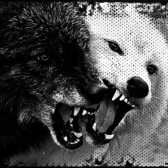 Big Wolf Ft K1llvoid