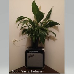 South Yarra Sadness