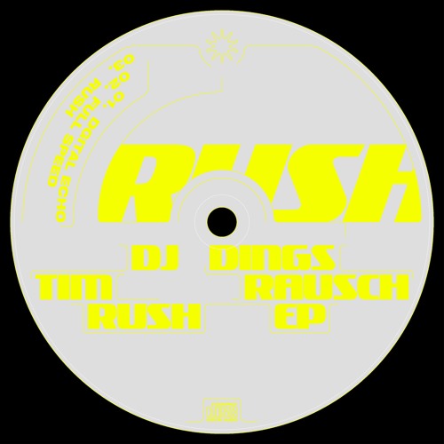 Premiere: DJ Dings & Tim Rausch - Digital Echo (DNGS001)