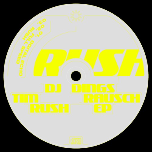 Premiere: DJ Dings & Tim Rausch - Digital Echo (DNGS001)