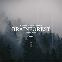 Brainforest (Kios Nil remix)
