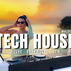 TECH HOUSE Mix 2025 🔥 | Best of House, Bass House, EDM 🌍 | Vaïbz Party #15 MALDIVES 🏝️ | By DJ T-Sia