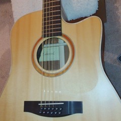 In The Year 2525 (Campfire-Version, could be Year 2025;-?, inspired by Zager & Evans)