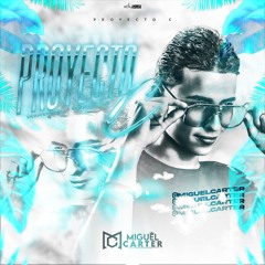 PROYECTO C - MIGUEL CARTER