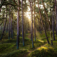 Dancing Buddha Remake version