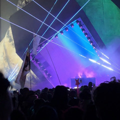 Glasto 24 Mini Rough Cut 1