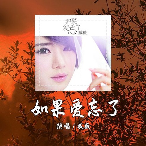戚薇 - 如果爱忘了 [那些幸福啊 讓她替我到達]【動態歌詞/pīn yīn gē cí】