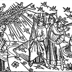 Flight of the Locusts