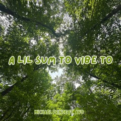 A Lil Sum to Vibe To