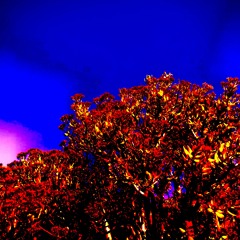 Empty Minded (Official Audio)