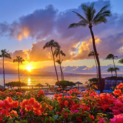 1day (prod. tetro x rioleyva)