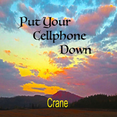Put Your Cellphone Down