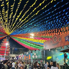 4 MINUTINHOS RITMADA JUNINA SERIE GOLD ( DJs VINICIUS & LEOZINHO )
