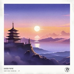 Aaron Payne - Emotions Running EP [CKRA043]