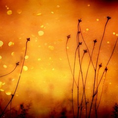 "Why I Go Inside" by Michael Plesa