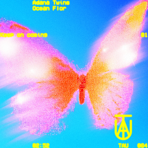 Premiere: Adana Twins, Ocean Flor - Keep On Coming [TAU]