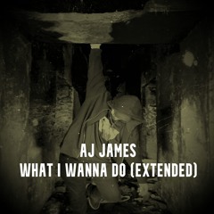 AJ-James - what i wanna do (extended)