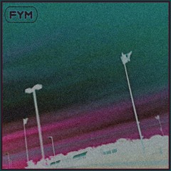 FYM (prod. shlappy)
