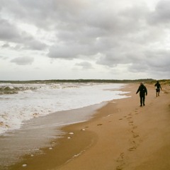 Harhailija