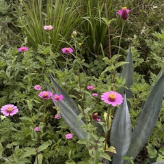 Progressive House 0.1