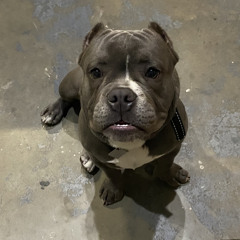 love at first sight (Project 33)dr Dre west coast g funk type beat