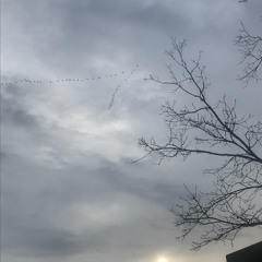 Life’s Best Times, ben aperitif (first draft, early recording)