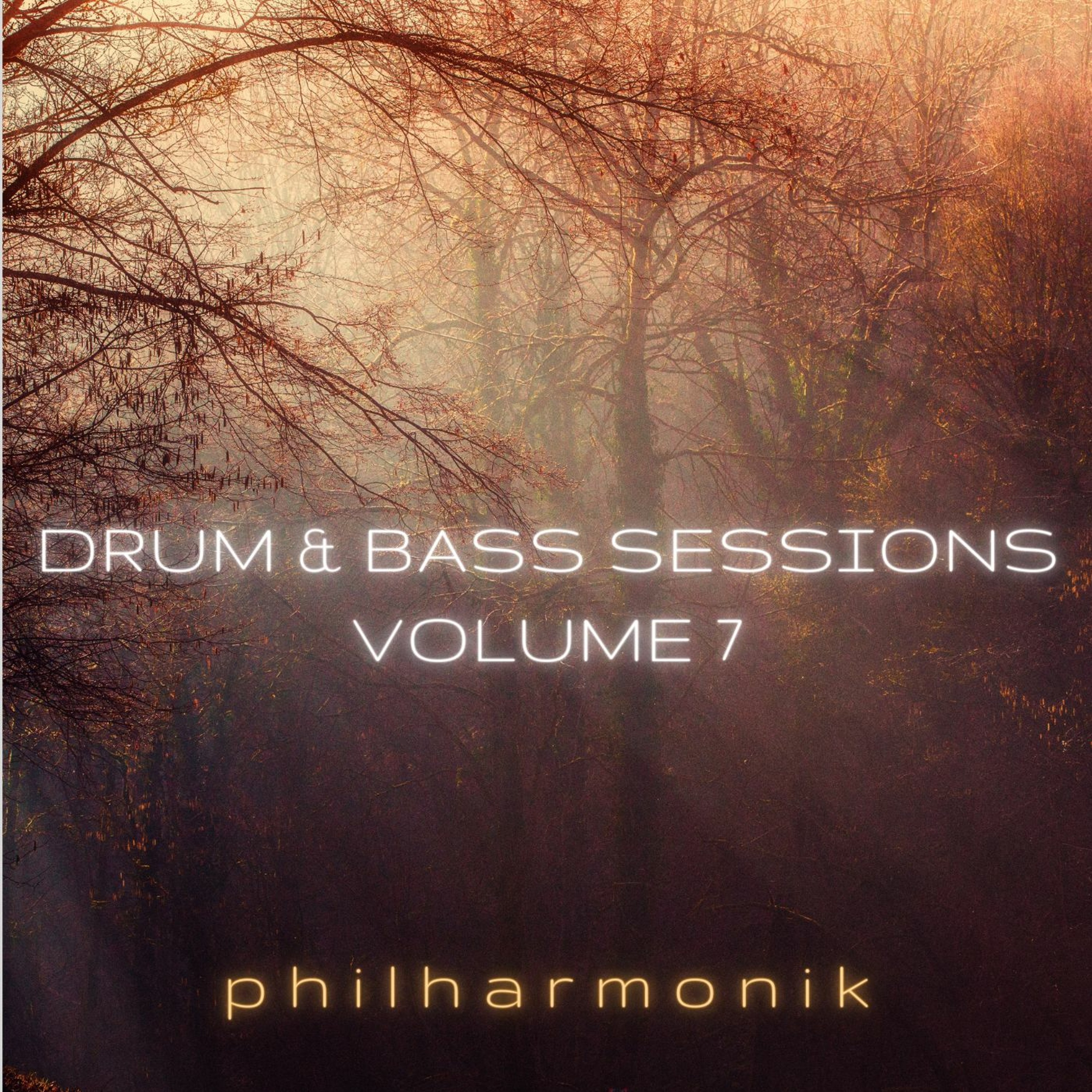 Drum & Bass Sessions
