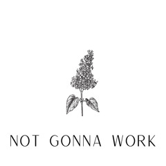 not gonna work (Tanaya Edit)