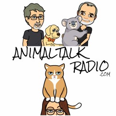 Animal Talk - Please listen and follow - Episode 147