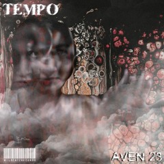 AVEN 23 - TEMPO [WCR-07]